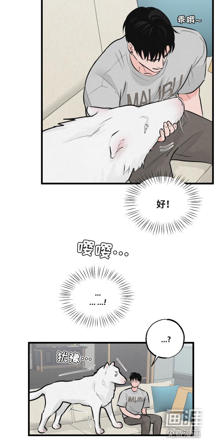 第13章：吃惊