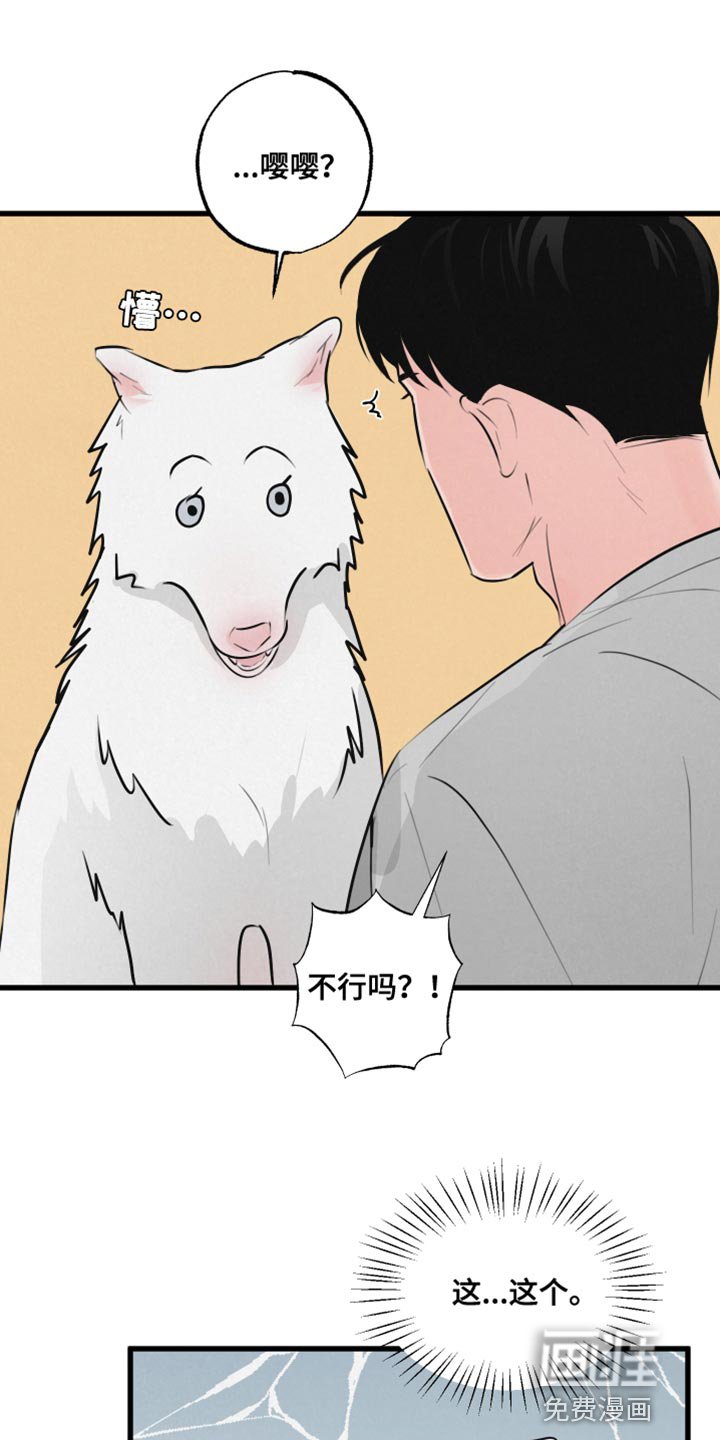 第13章：吃惊