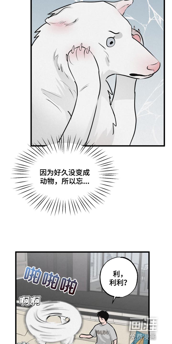 第13章：吃惊