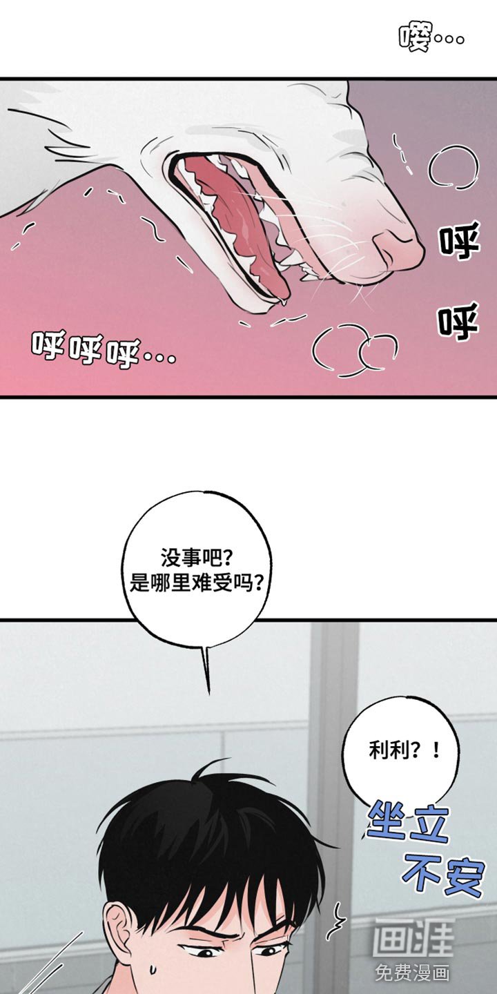 第13章：吃惊