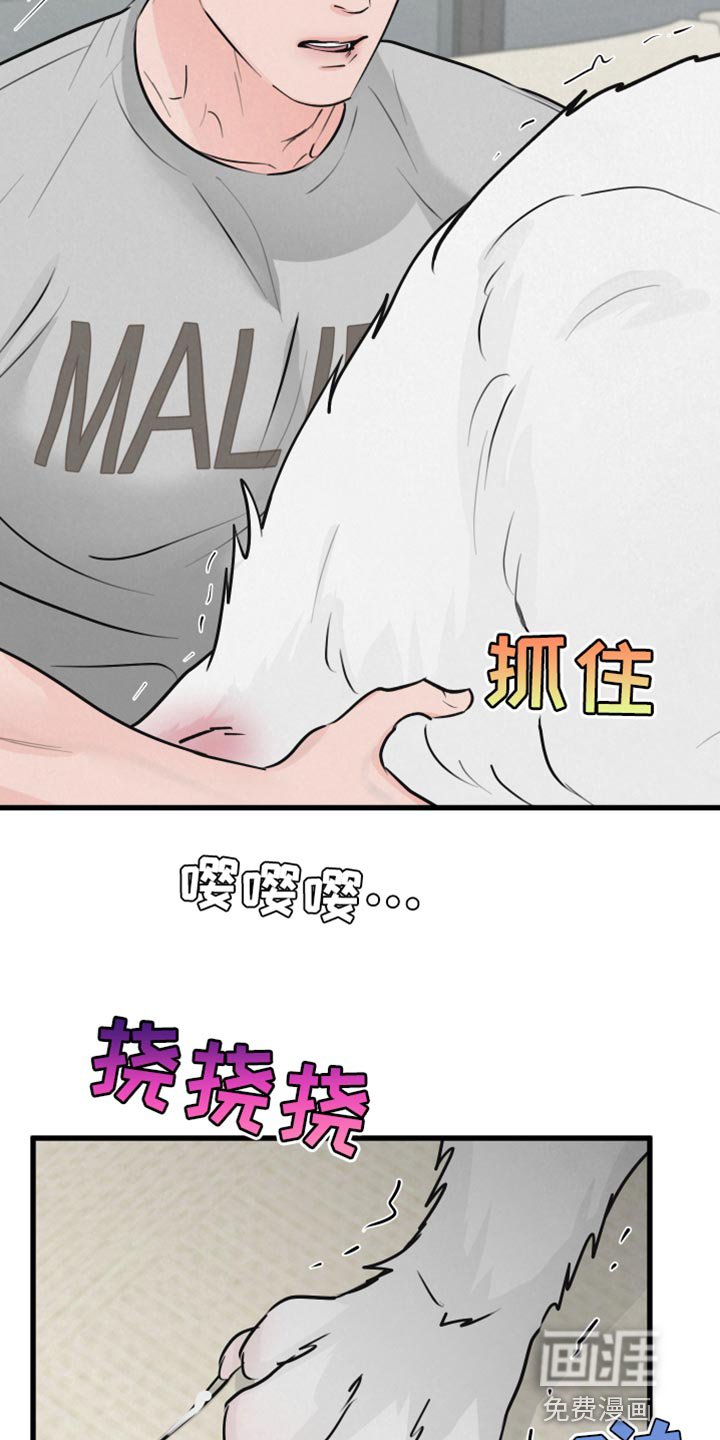 第13章：吃惊