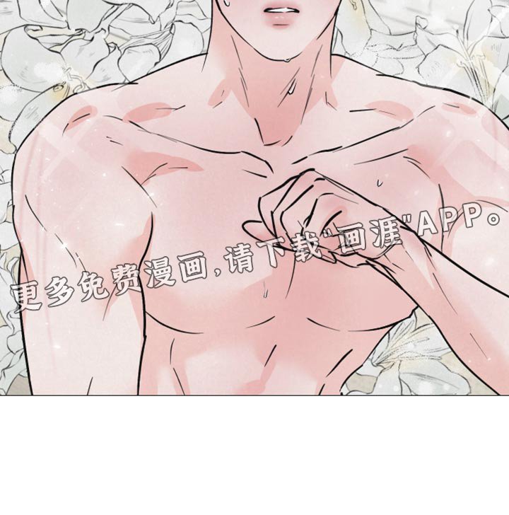第13章：吃惊