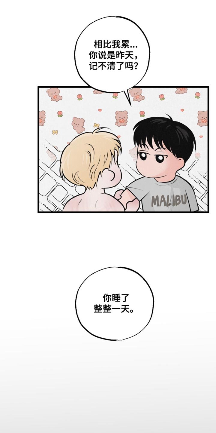 第14章：动物形状