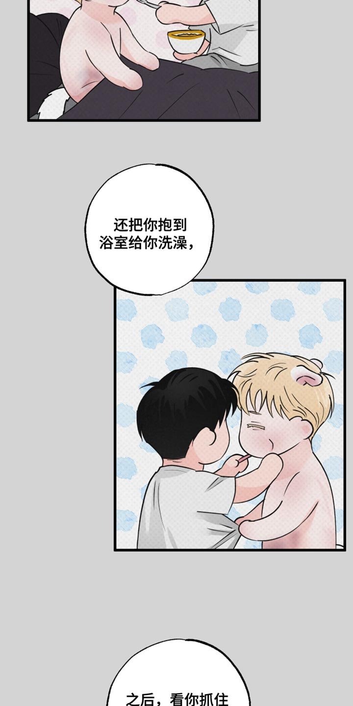 第14章：动物形状