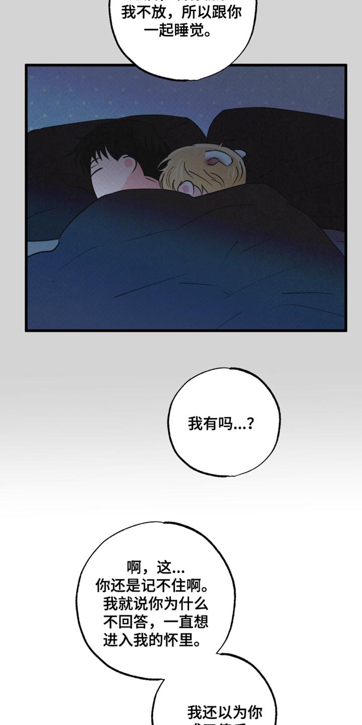 第14章：动物形状