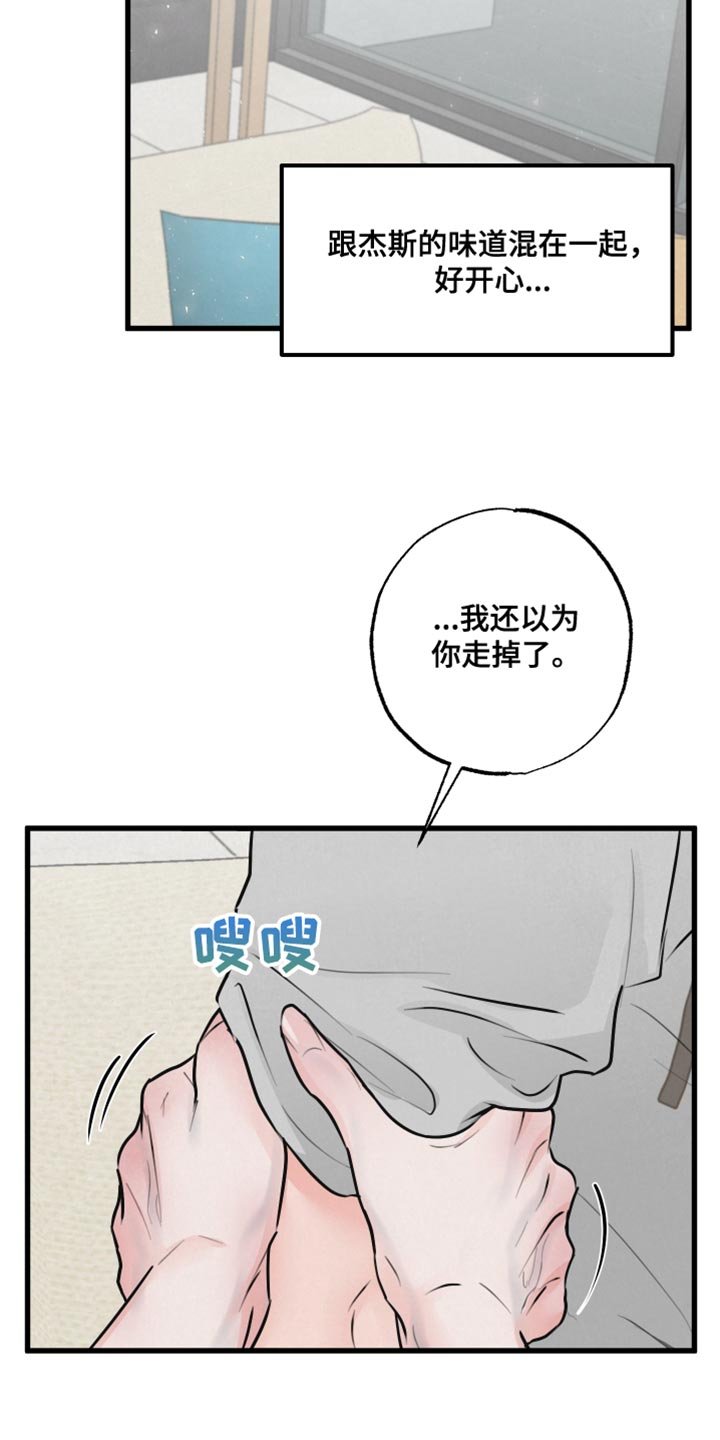 第14章：动物形状