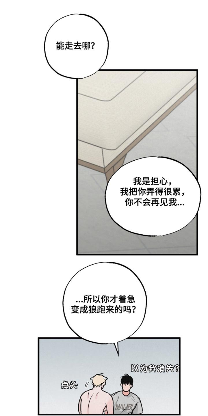 第14章：动物形状