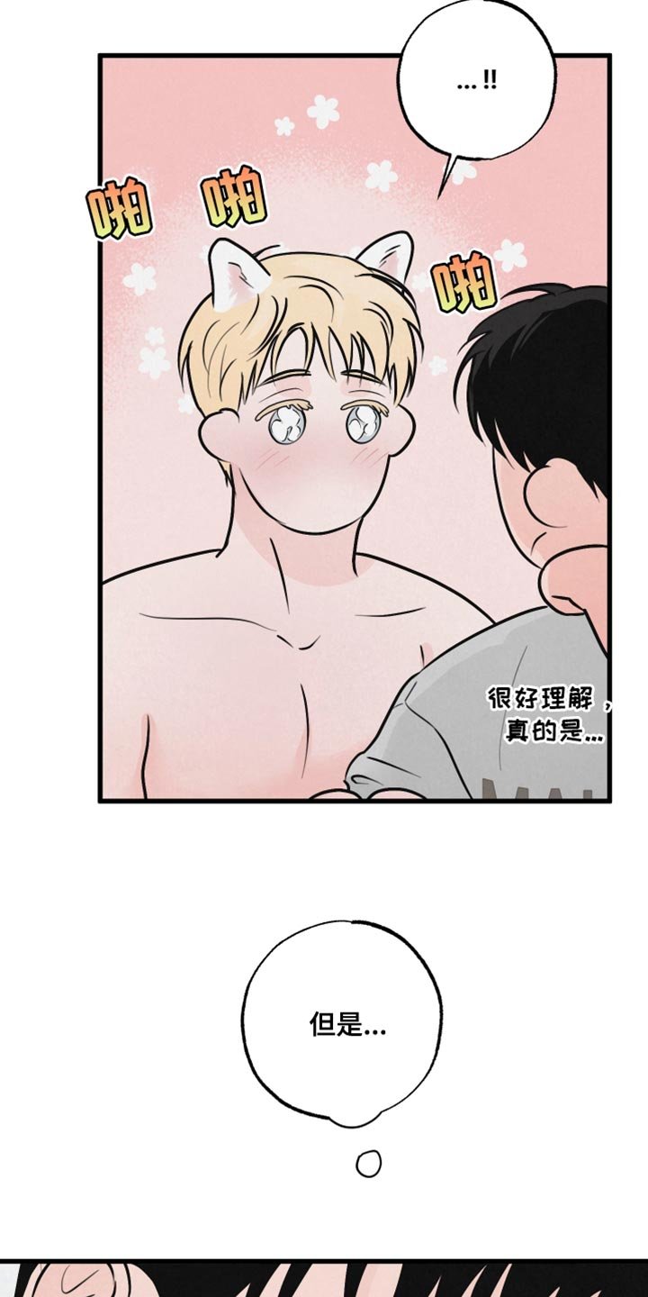 第14章：动物形状
