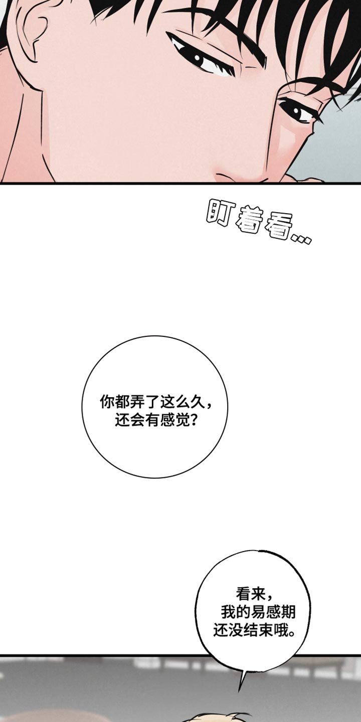 第14章：动物形状