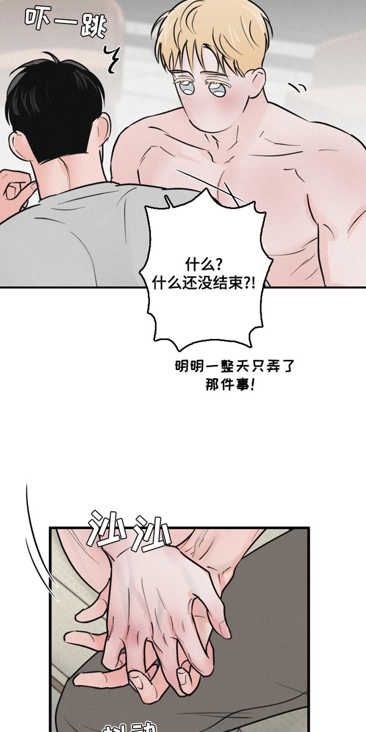 第14章：动物形状