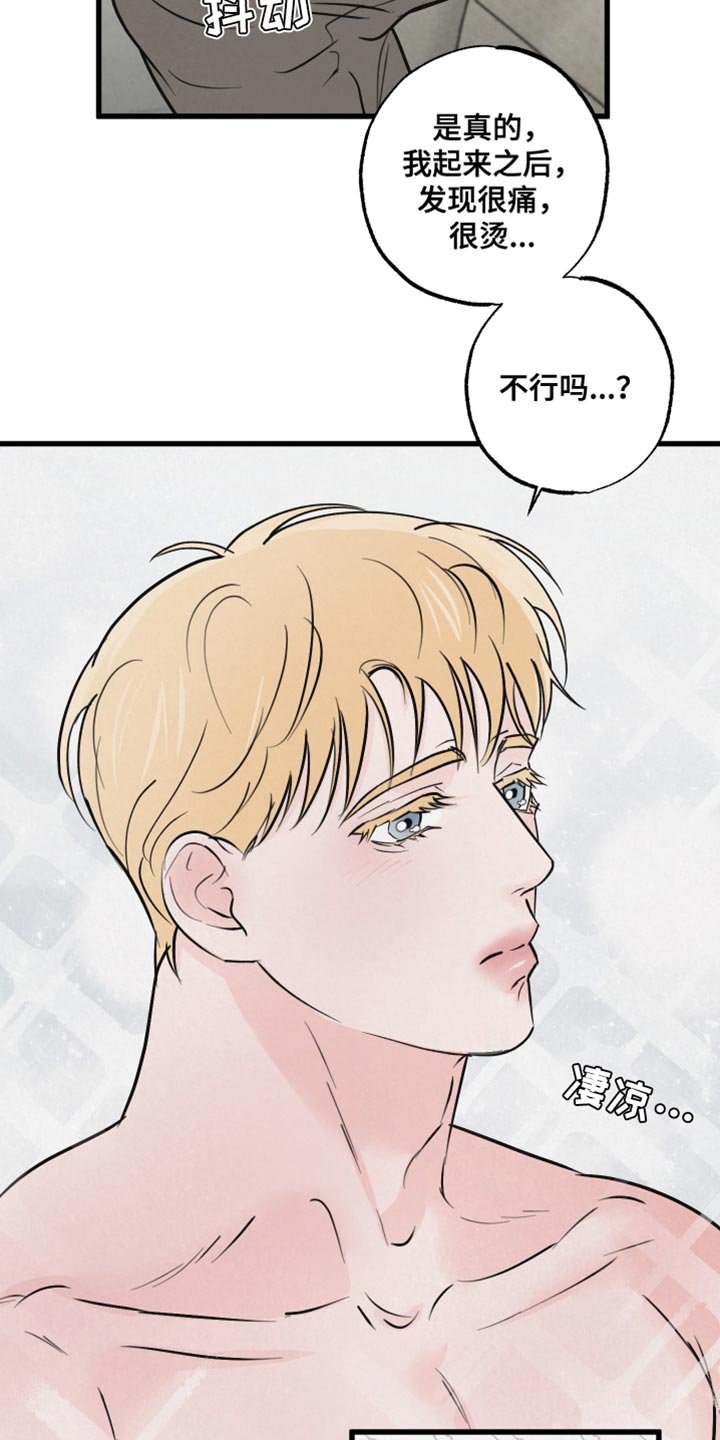 第14章：动物形状