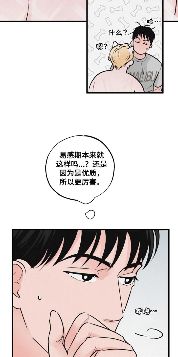 第14章：动物形状
