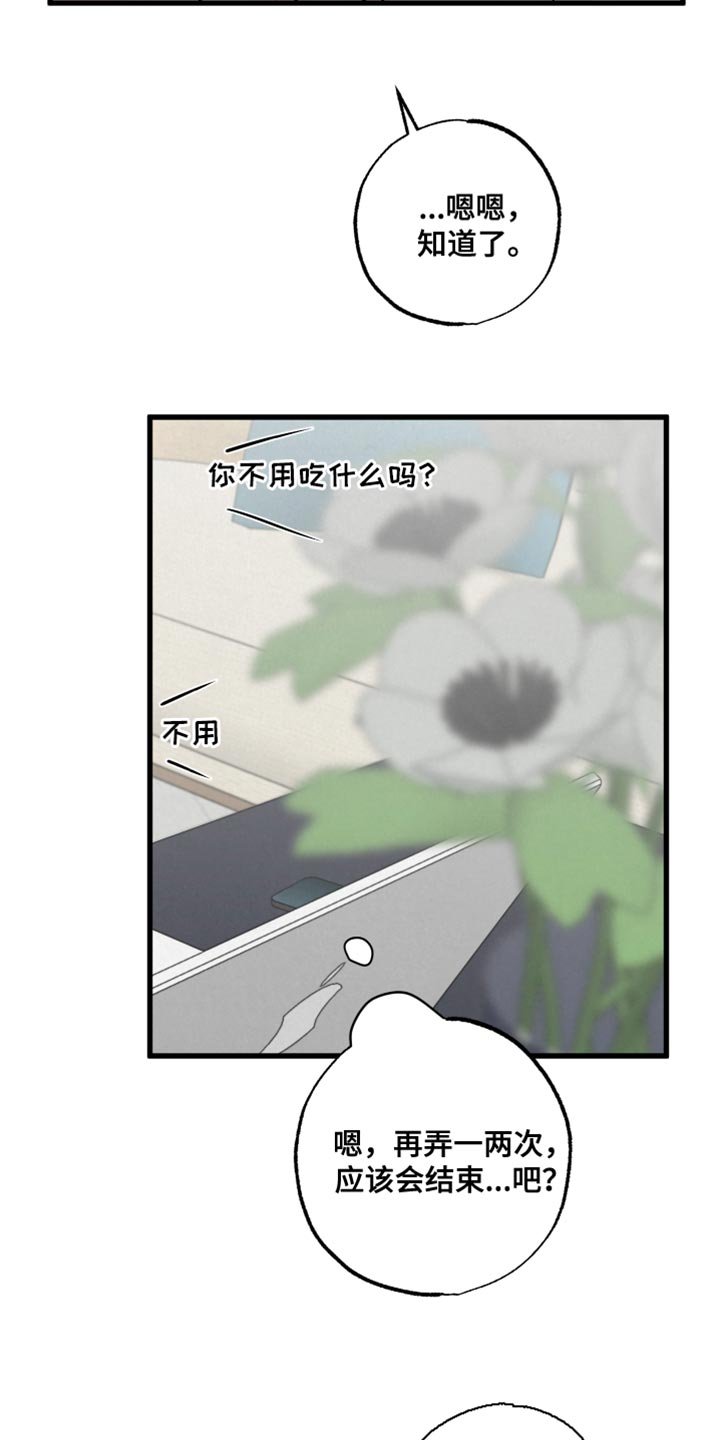 第14章：动物形状