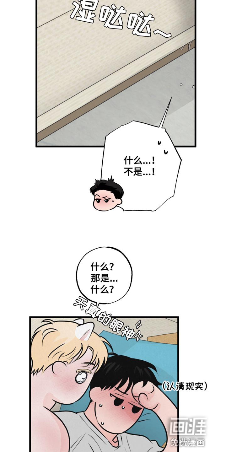 第15章：担心