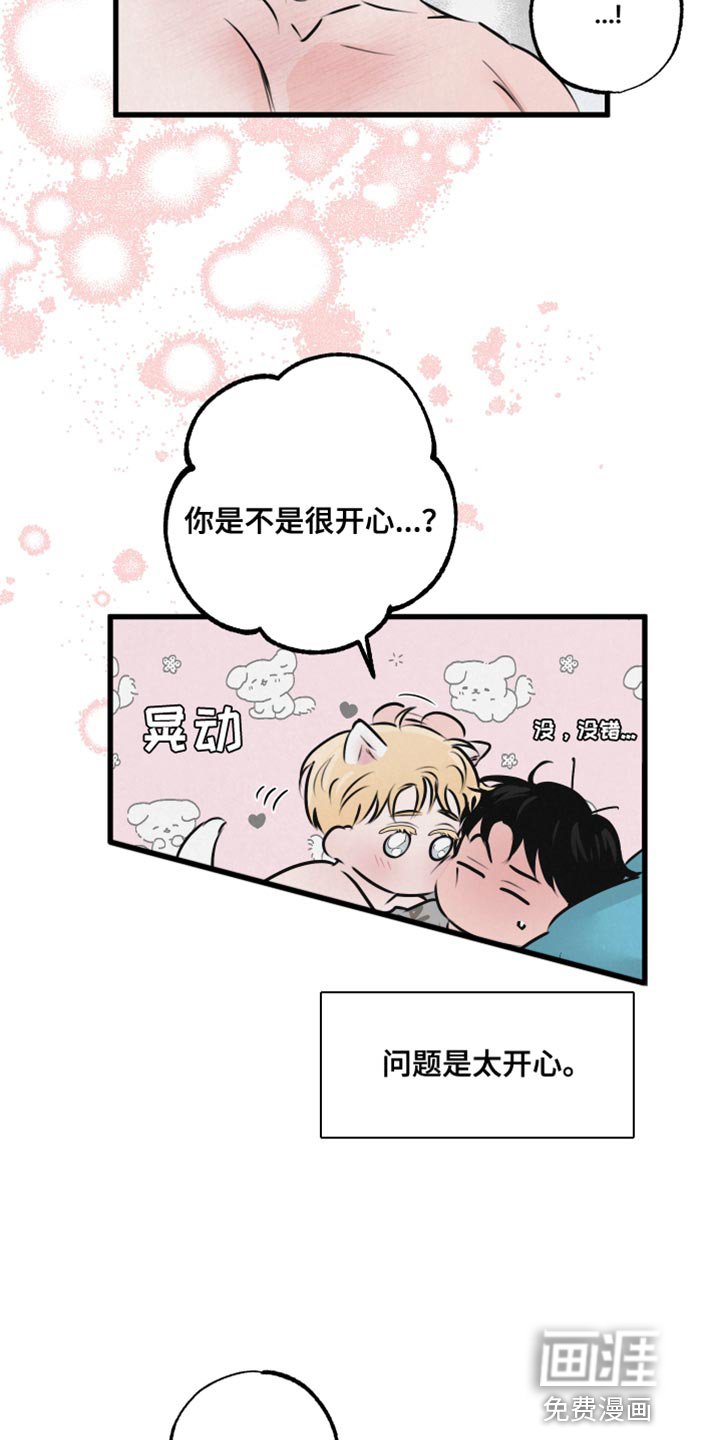 第15章：担心