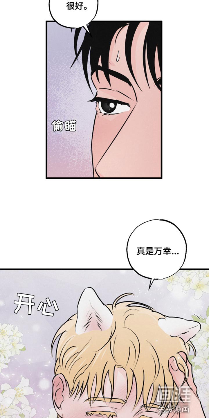 第15章：担心