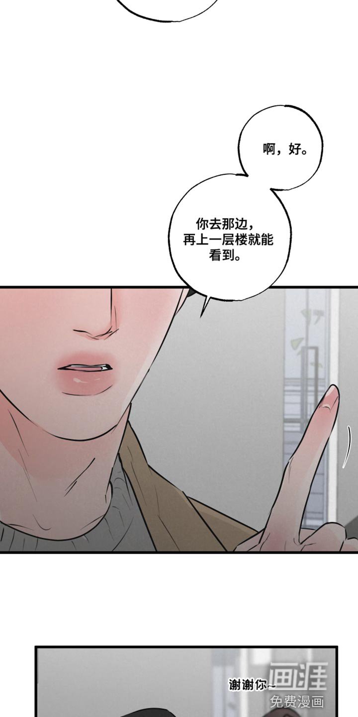 第19章：厚脸皮