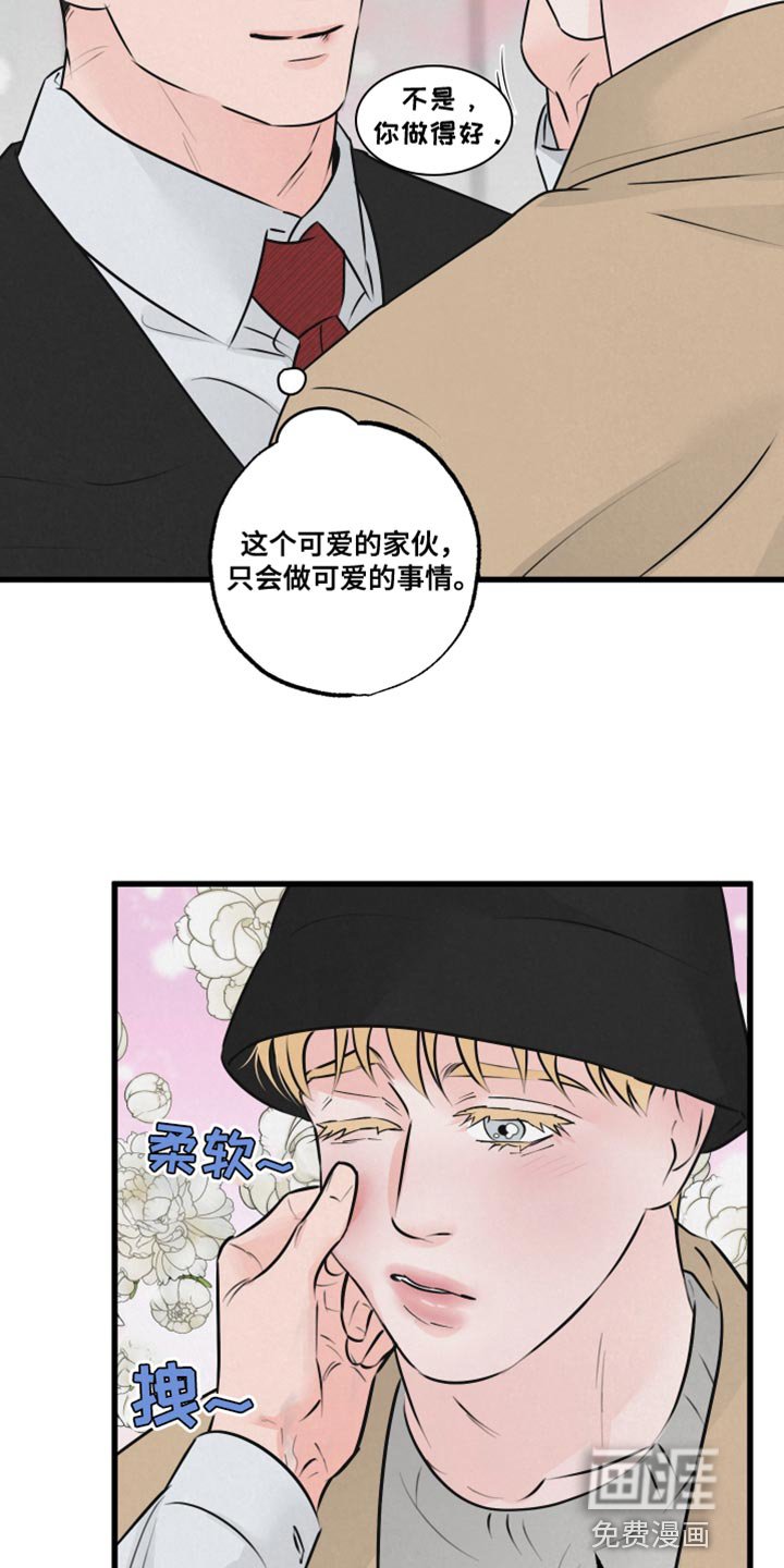 第19章：厚脸皮