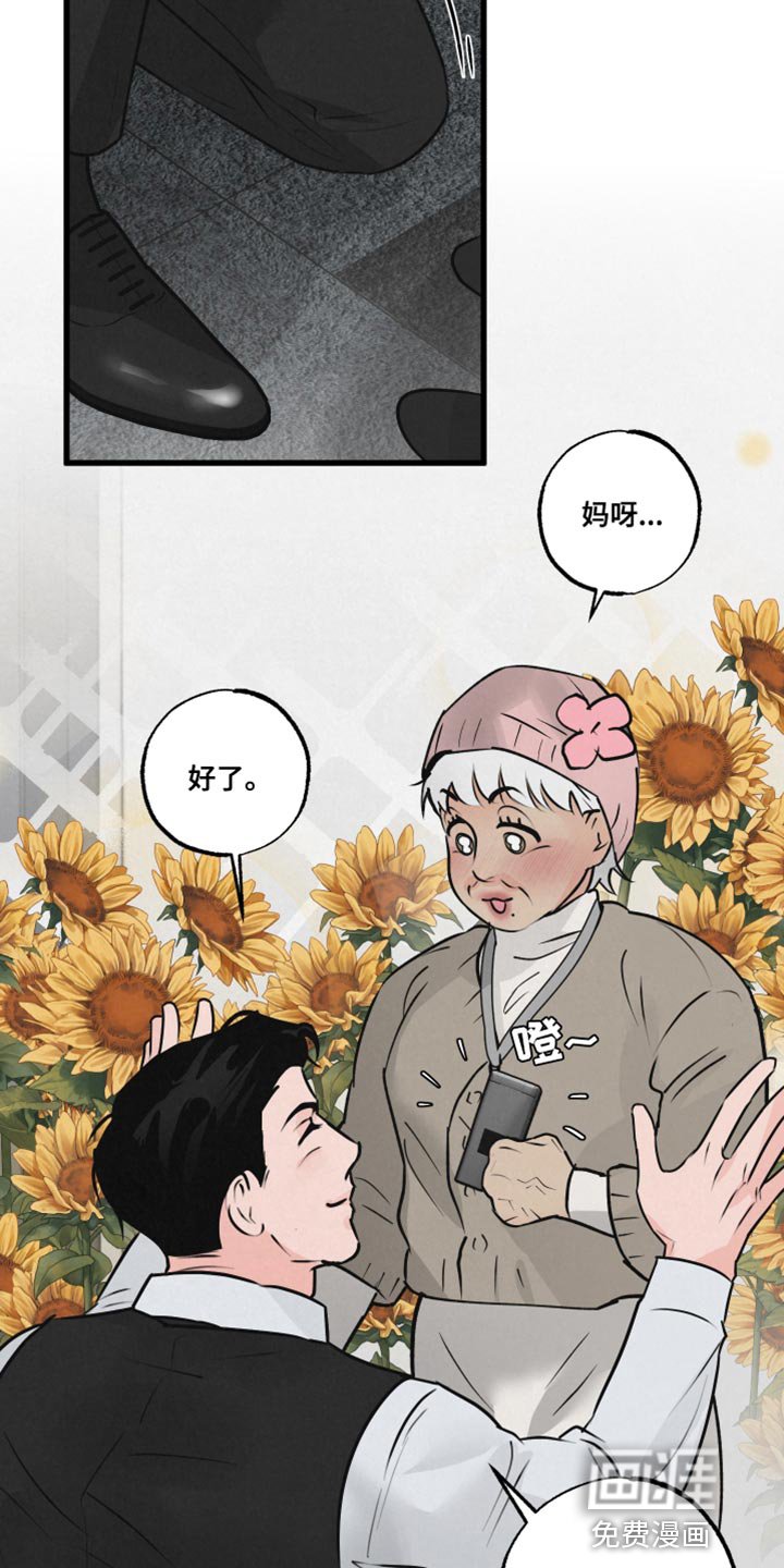 第19章：厚脸皮