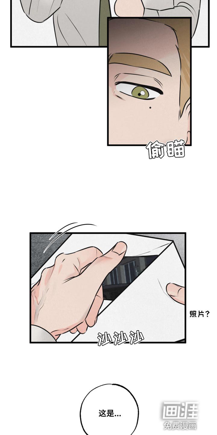 第19章：厚脸皮