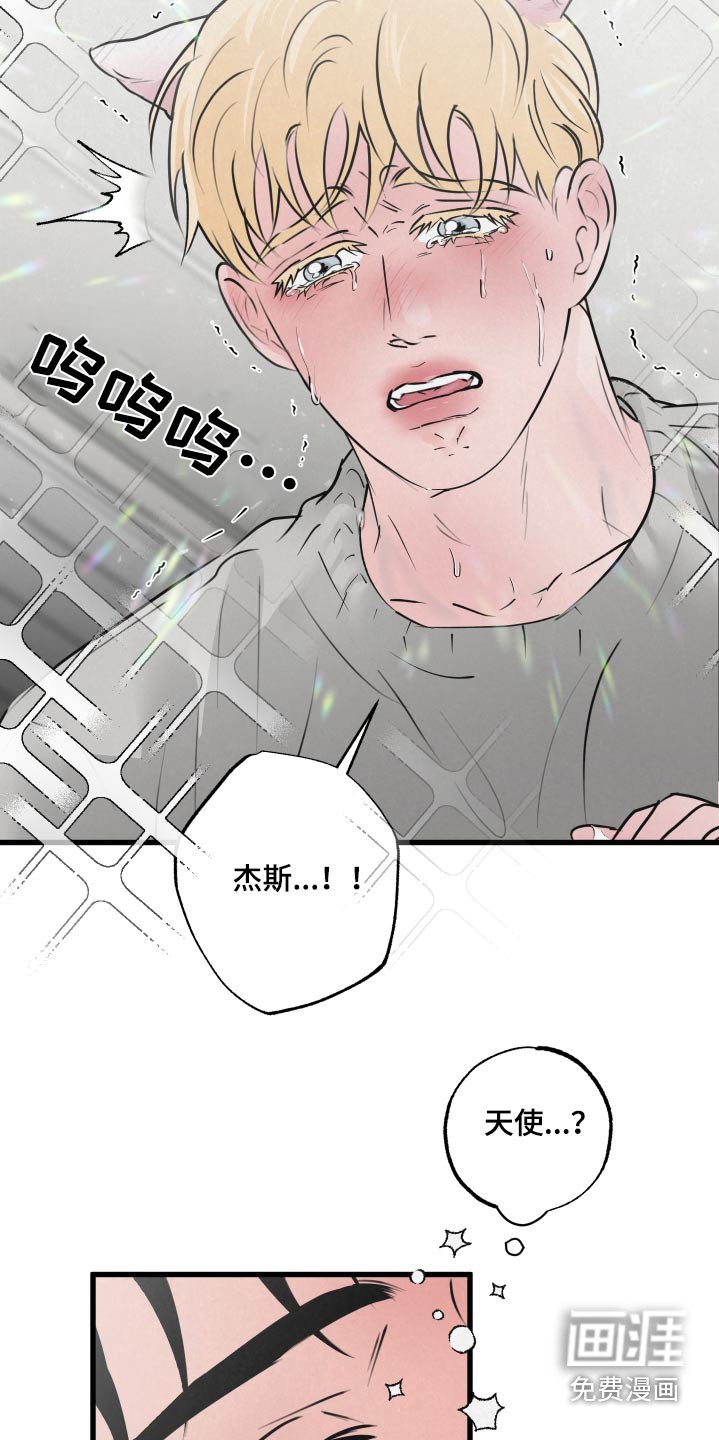 第22章：怎么了