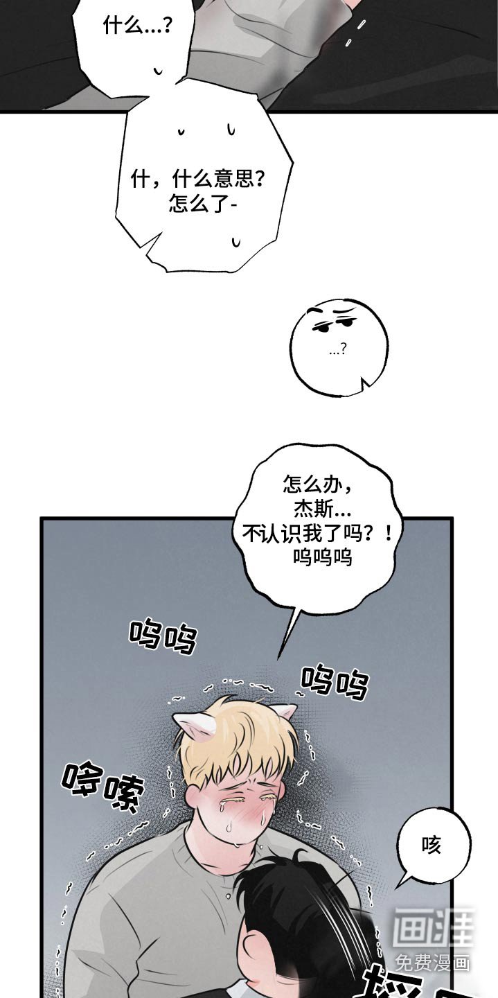 第22章：怎么了