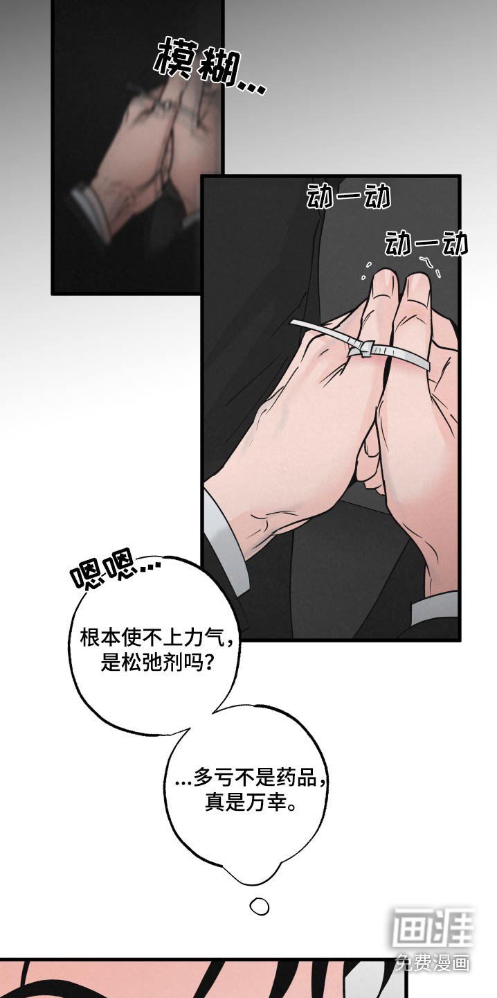 第28章：车祸
