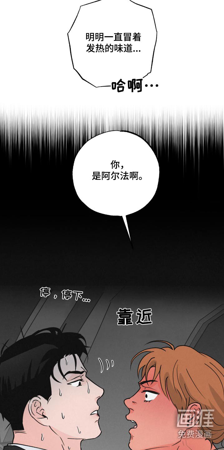 第28章：车祸