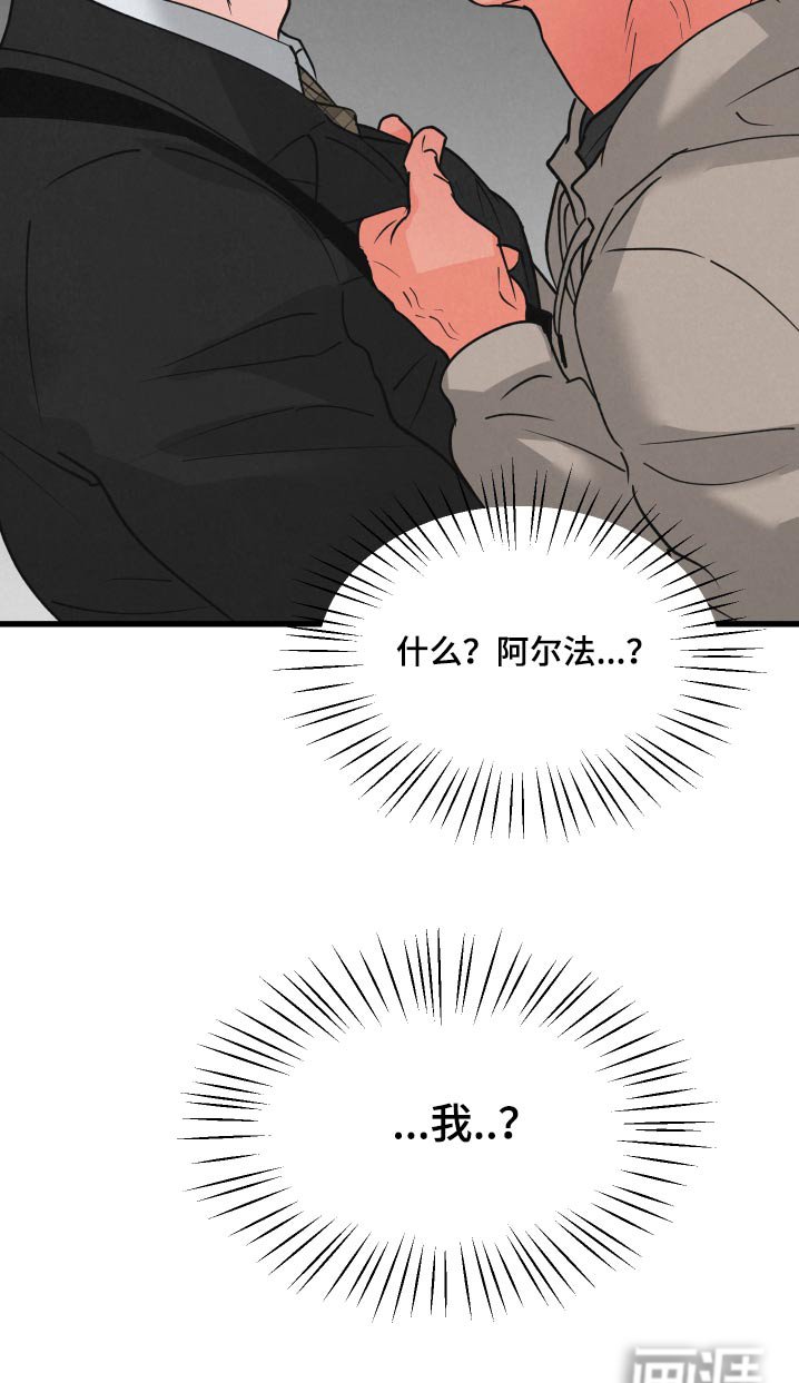 第28章：车祸