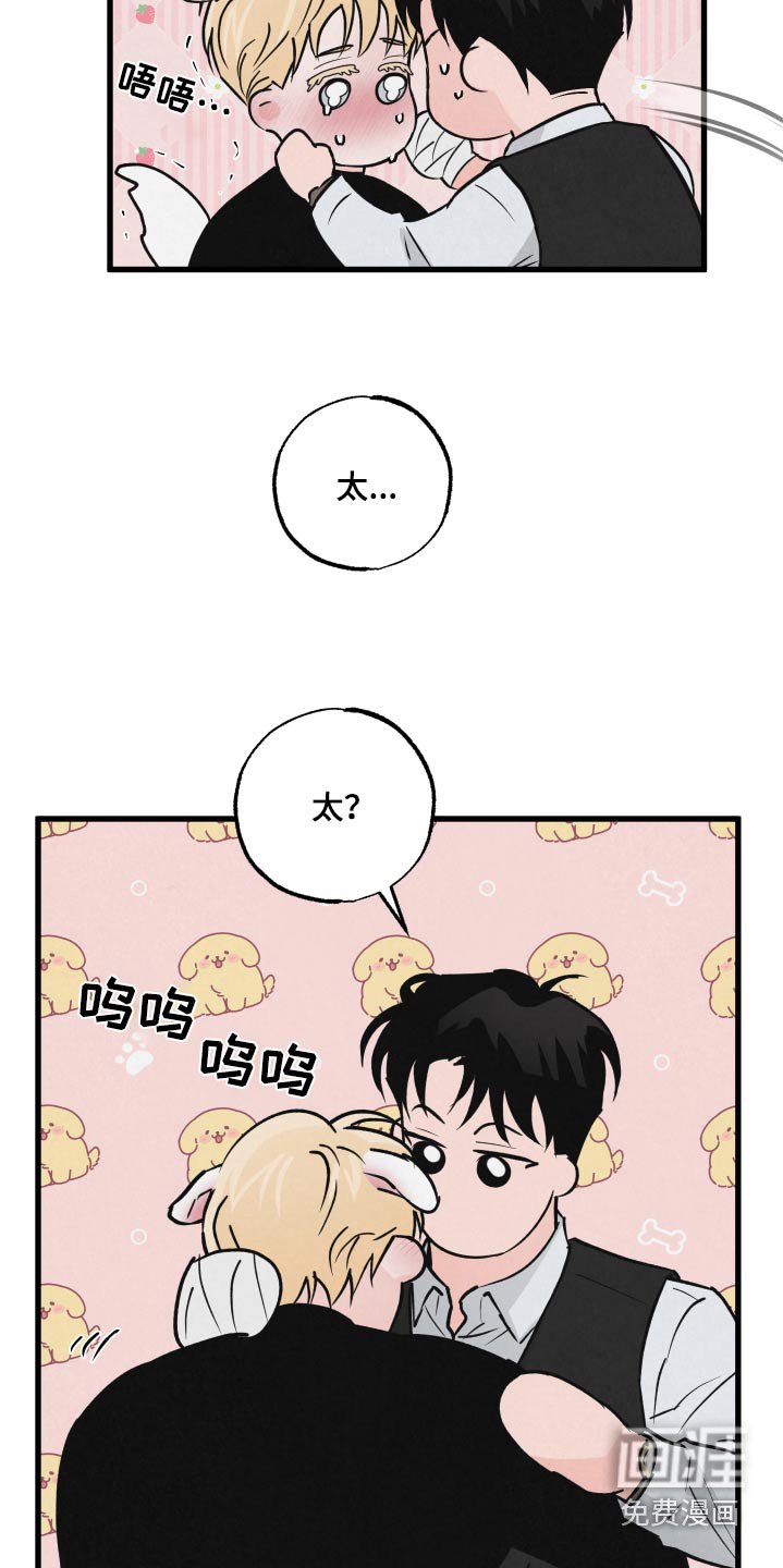 第33章：上车