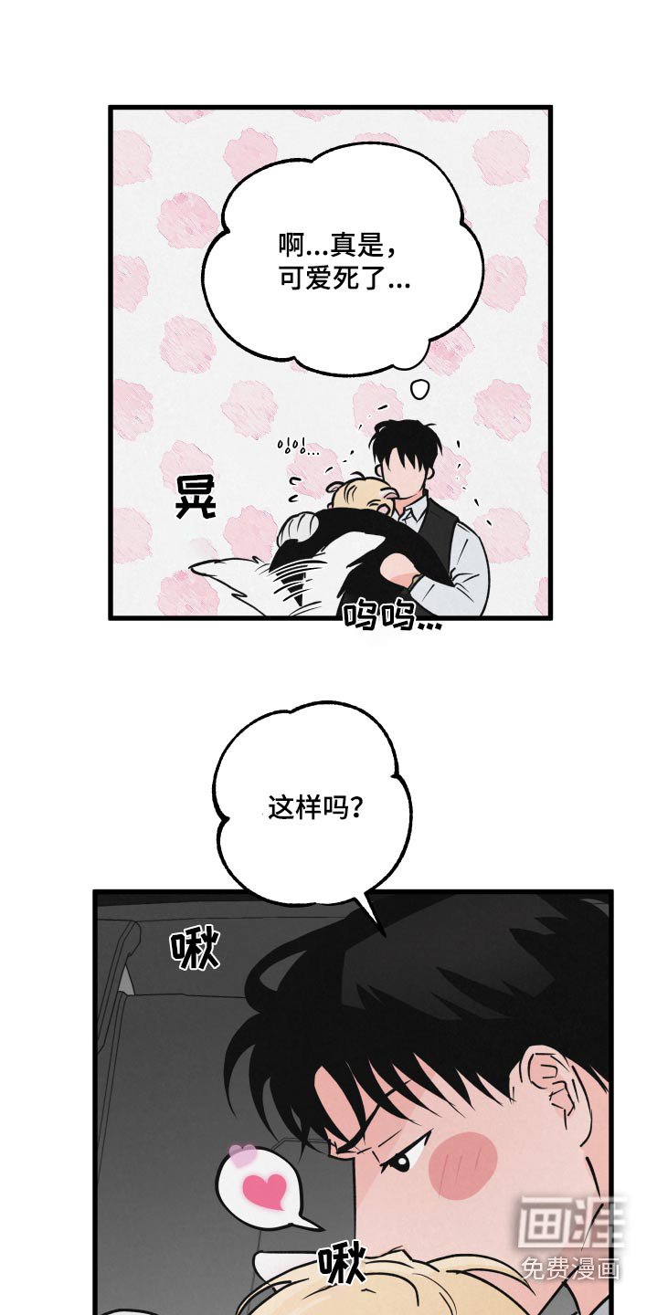 第33章：上车