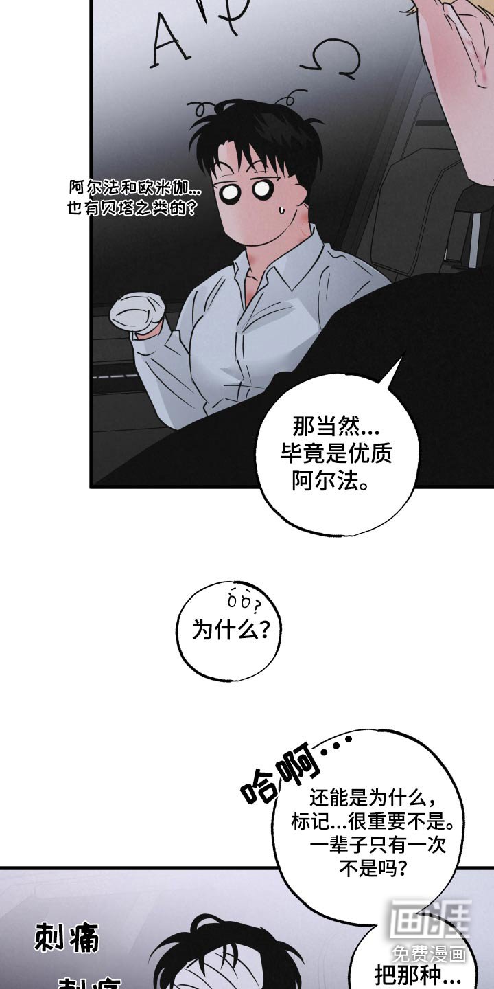 第34章：你说什么