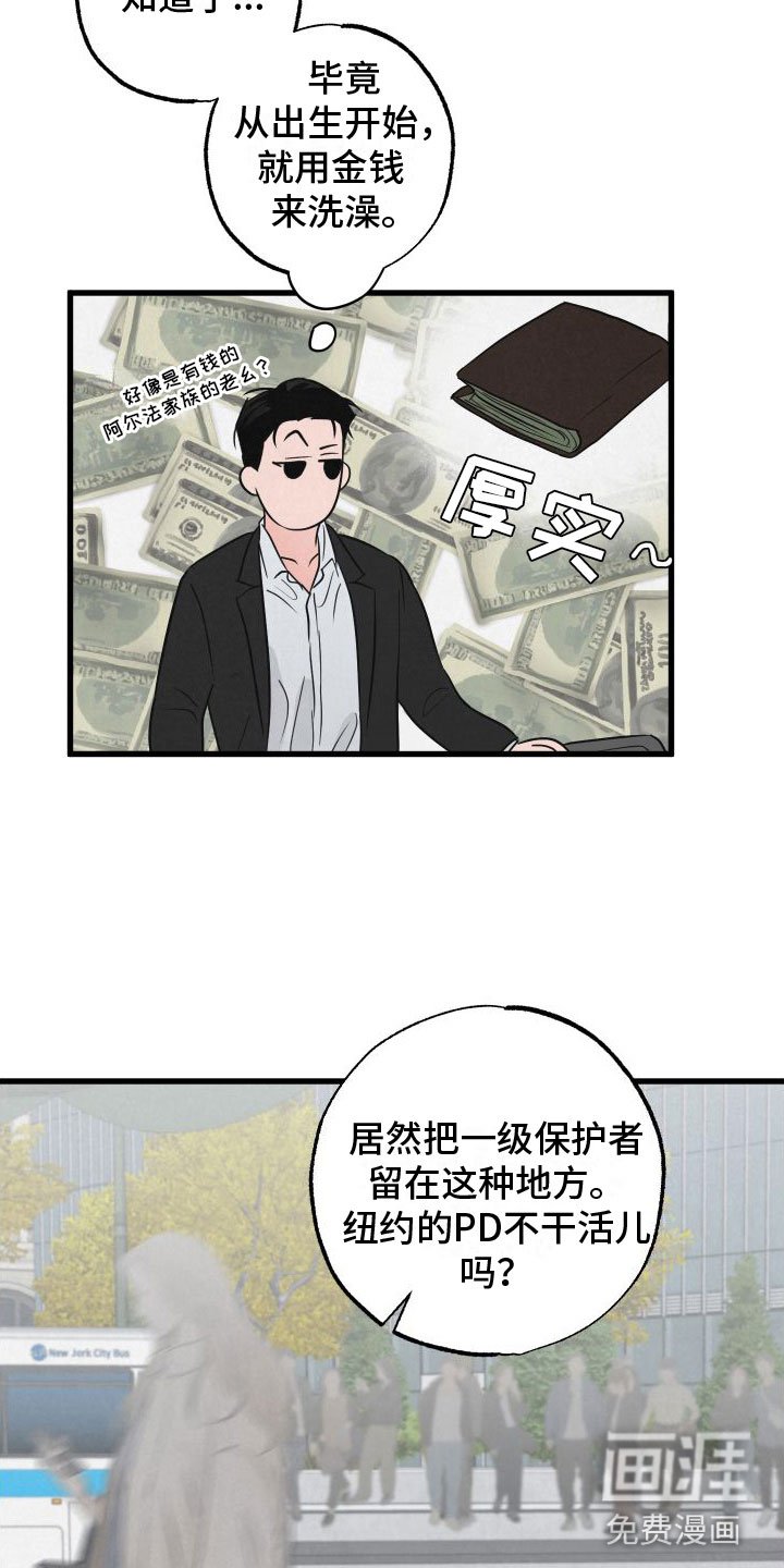 第3章：去纽约