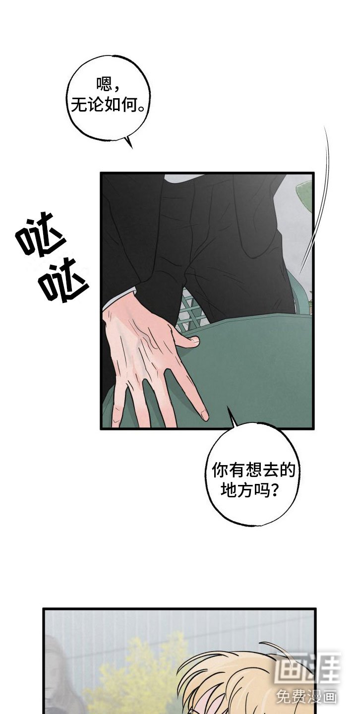 第3章：去纽约