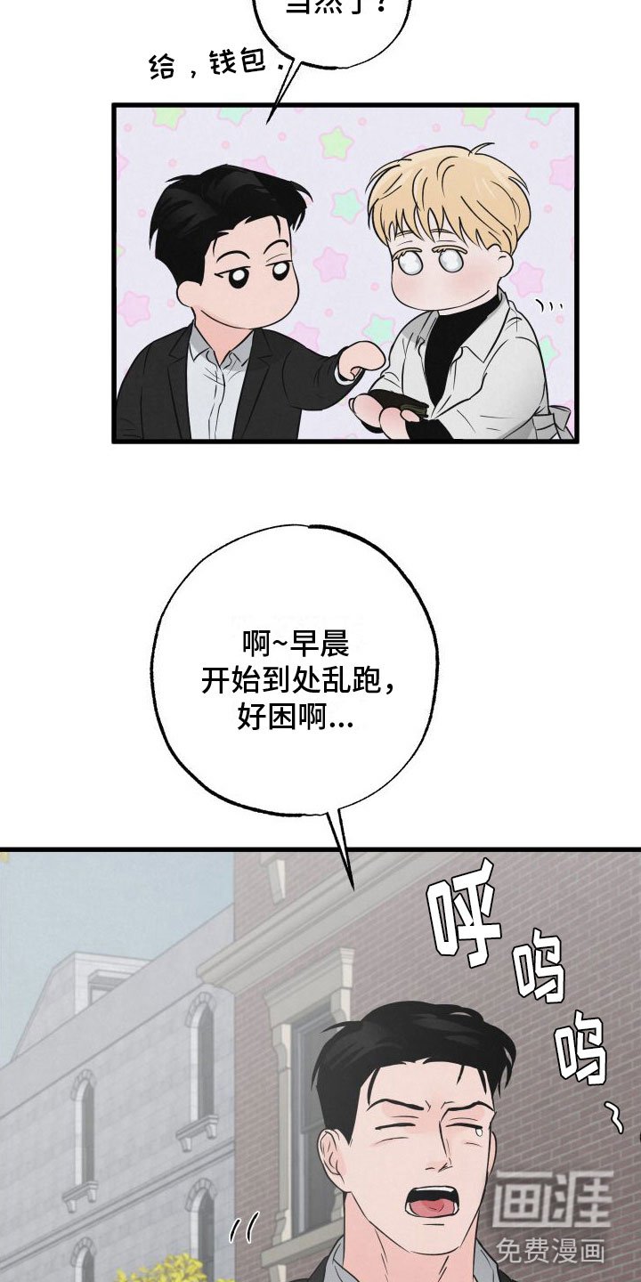 第3章：去纽约