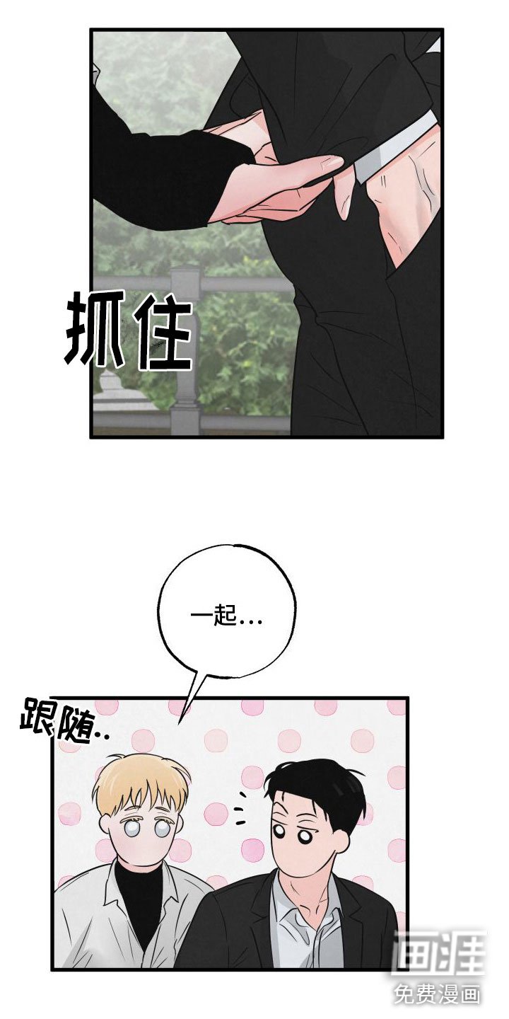 第3章：去纽约