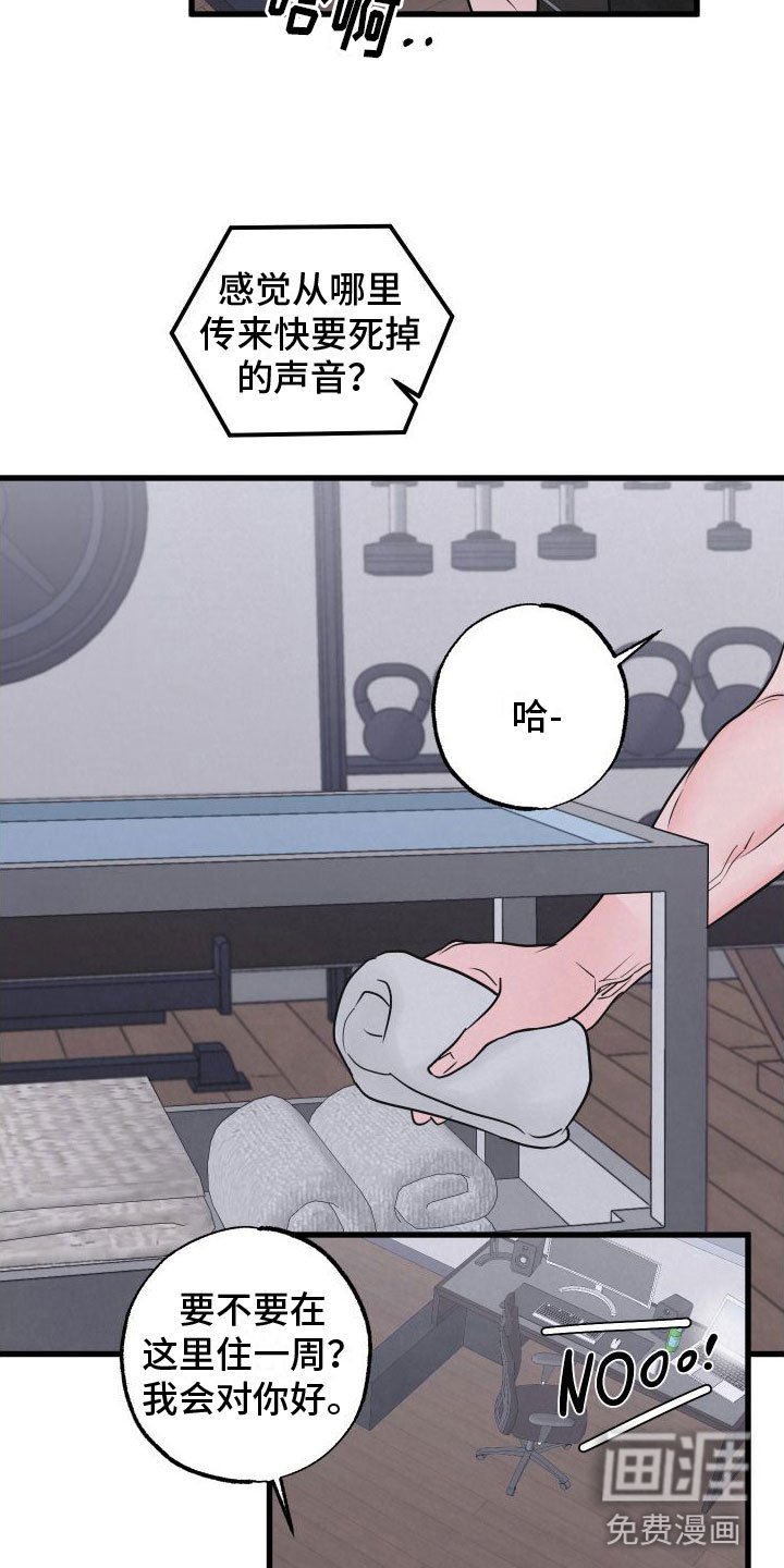 第4章：牵手