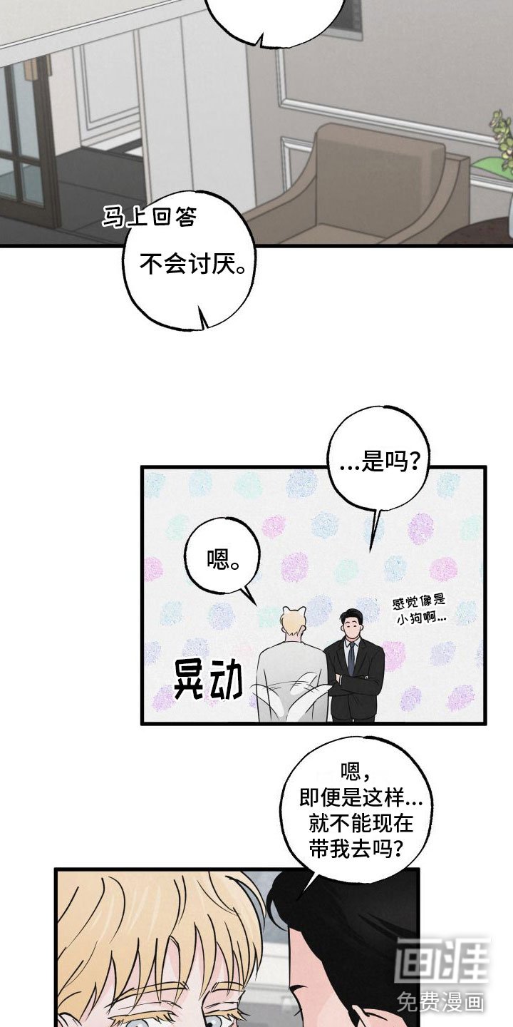 第5章：不忍心拒绝