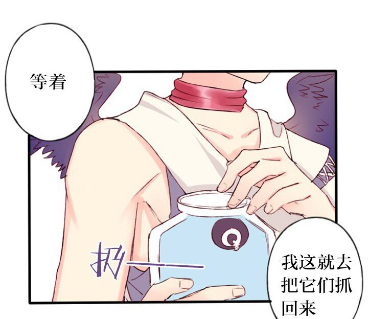第6章：