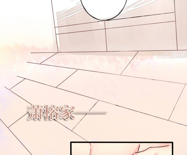 第6章：