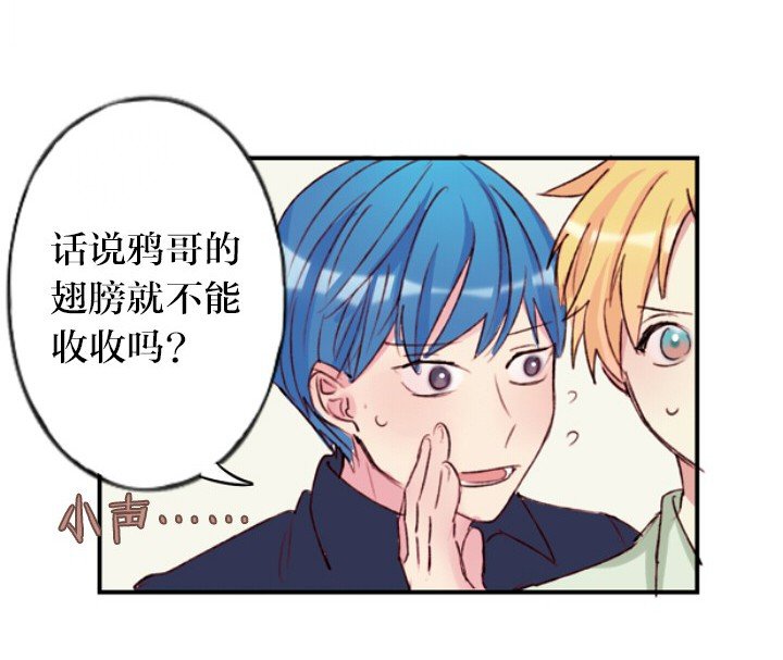 第6章：
