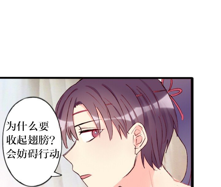 第6章：
