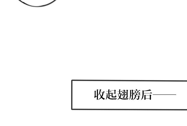 第6章：