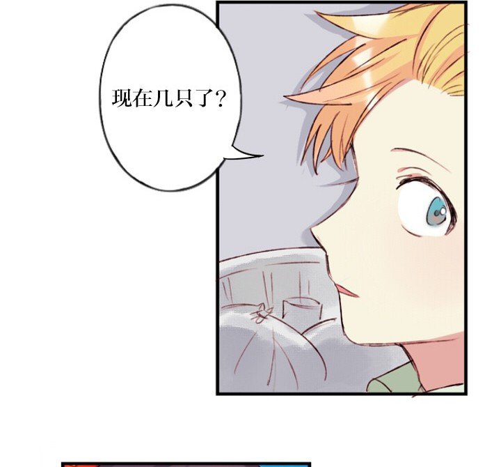 第6章：