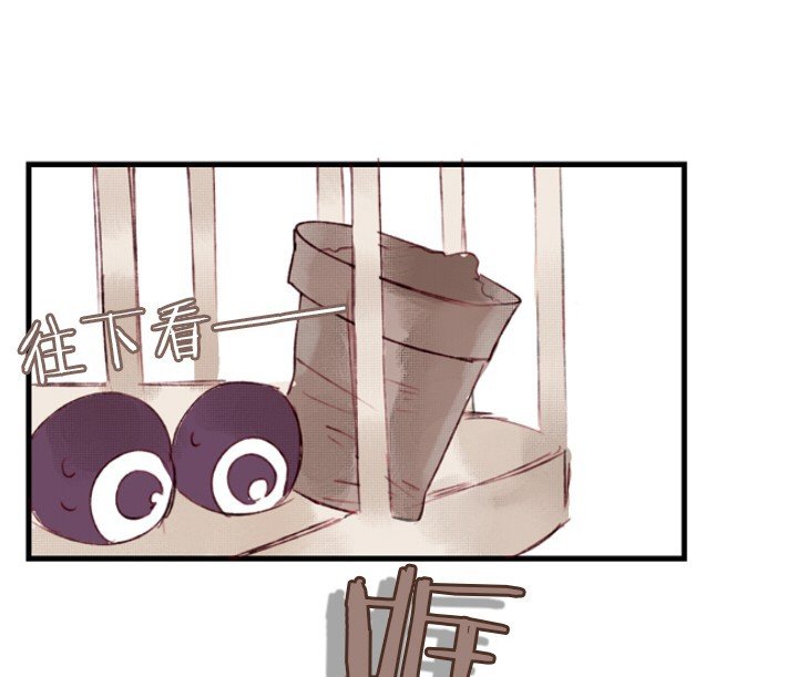 第6章：