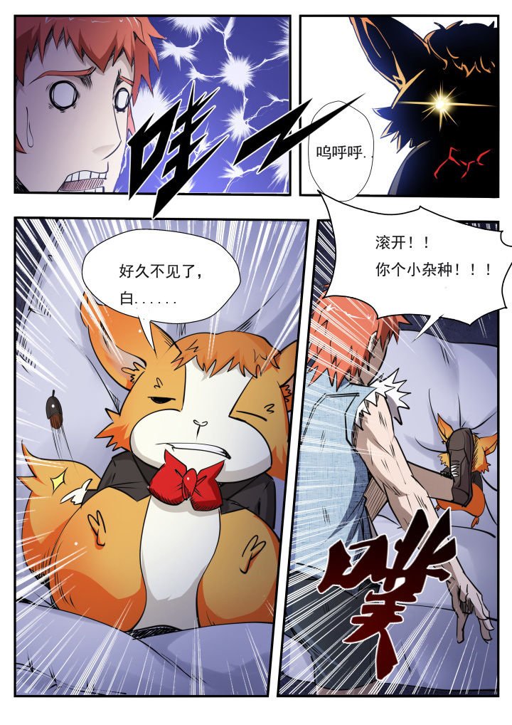 第12章：