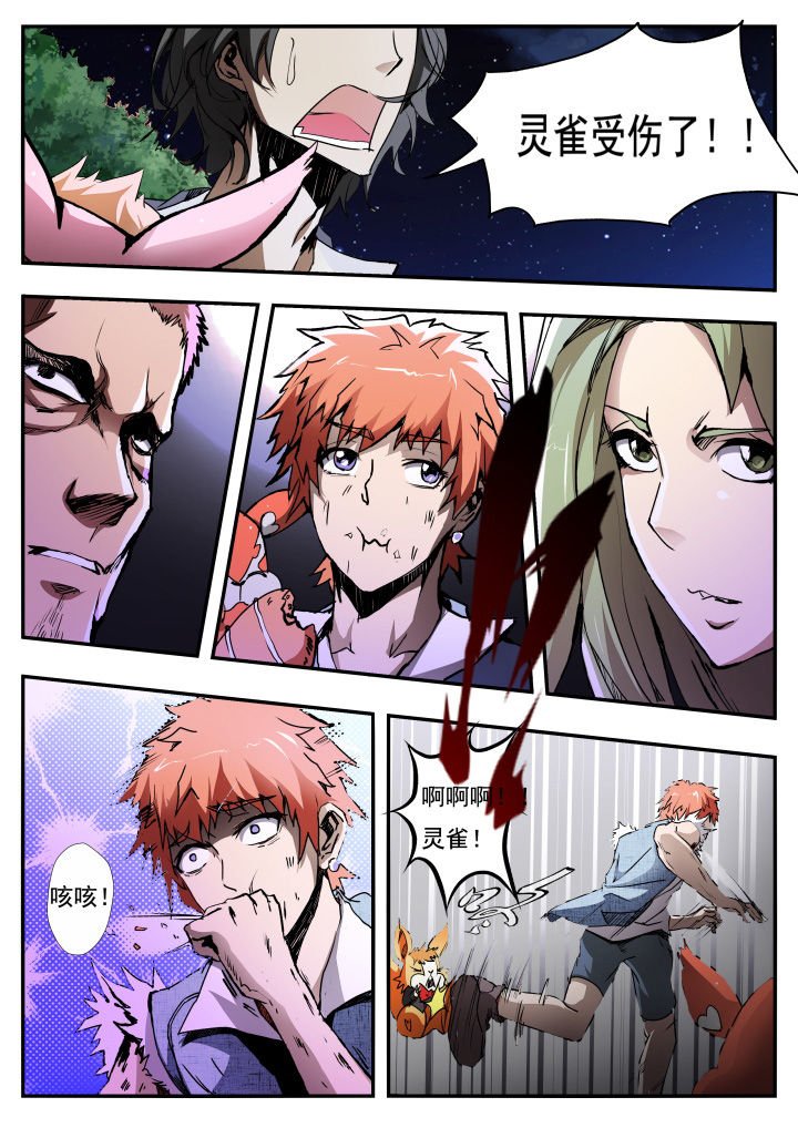 第13章：