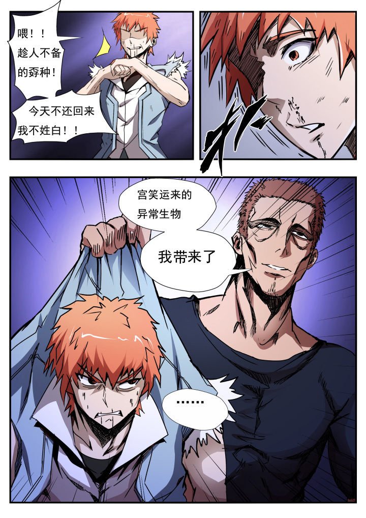 第13章：