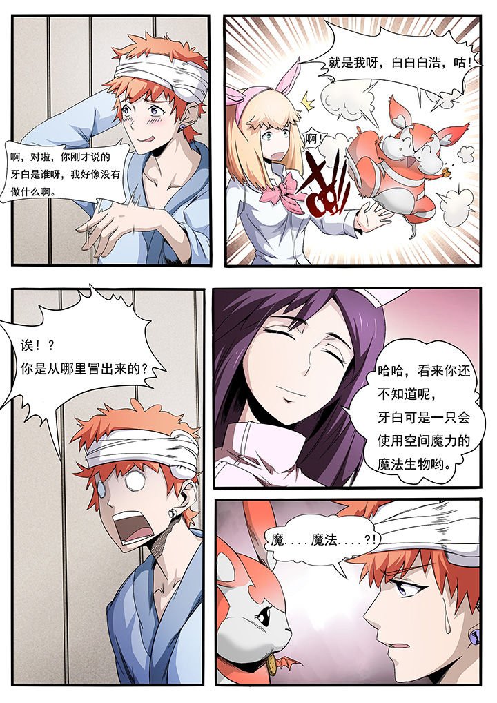 第4章：