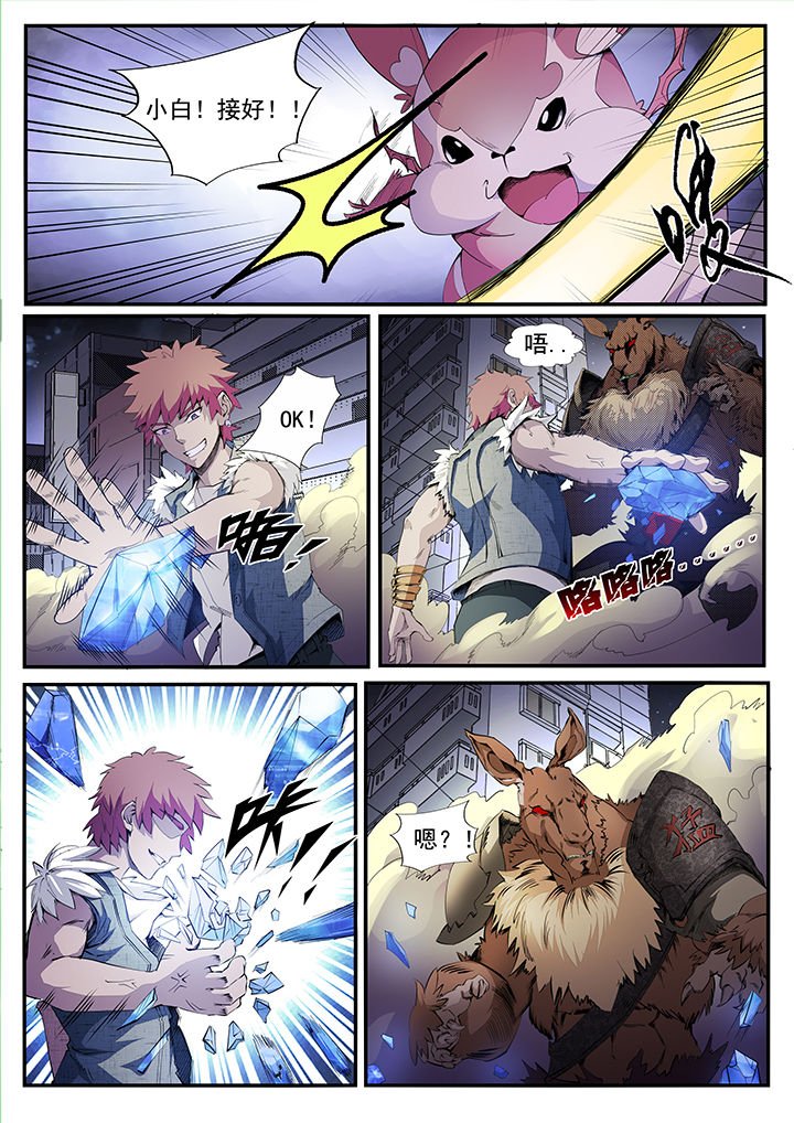 第6章：